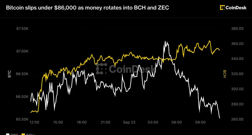 BCH злетів на 28% після анонсу лістингу ф'ючерсів на CME Group