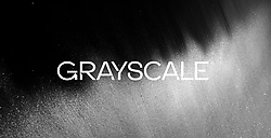 Zcash ETF от Grayscale привлек более $1 млрд
