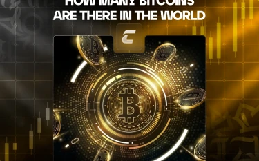 Сколько биткоинов в мире: актуальные данные и прогнозы