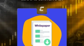Що таке WhitePaper