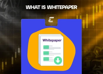 Що таке WhitePaper
