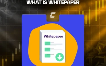 Что такое WhitePaper