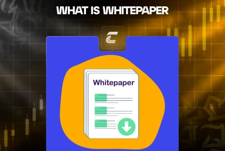 Что такое WhitePaper