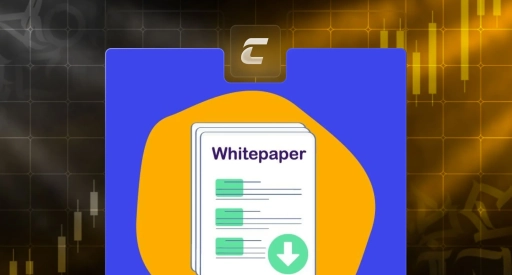 Що таке WhitePaper