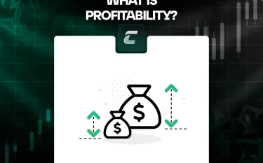 Рентабельность: что это такое?