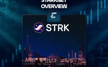 Что такое криптовалюта и блокчейн StarkNet?