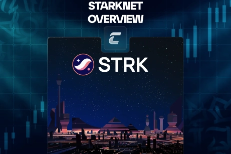 Что такое криптовалюта и блокчейн StarkNet?