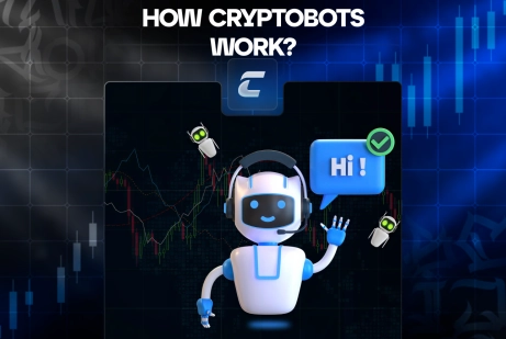 Крипто робот - типы и как на них зарабатывать