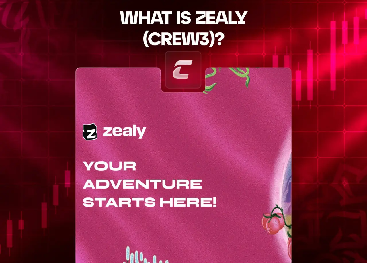 Що таке Zealy (Crew3) і для чого його використовують?