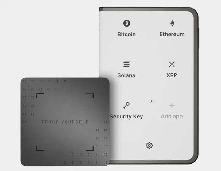 Ledger Flex