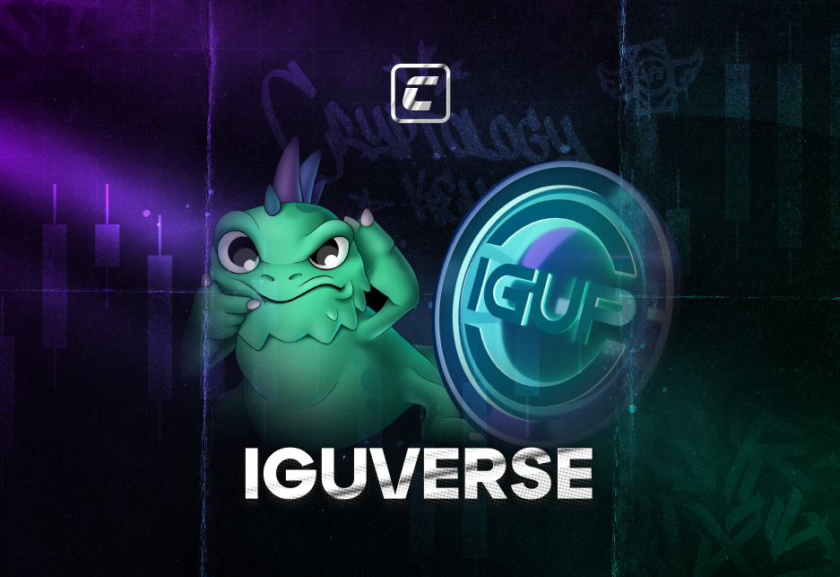 IguVerse: як інфлюенсери заробляють на вас?