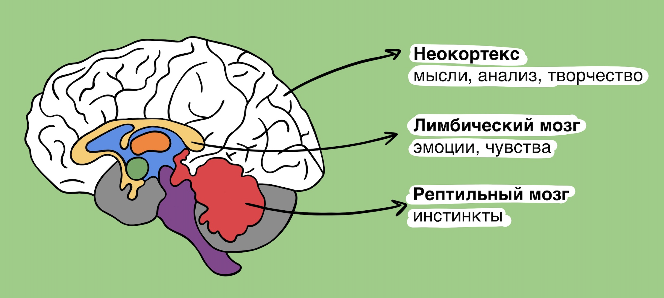 Трейдинг - сфера, що впливає на психіку