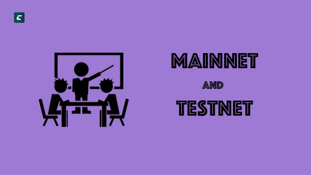 Testnet и Mainnet: главные различия